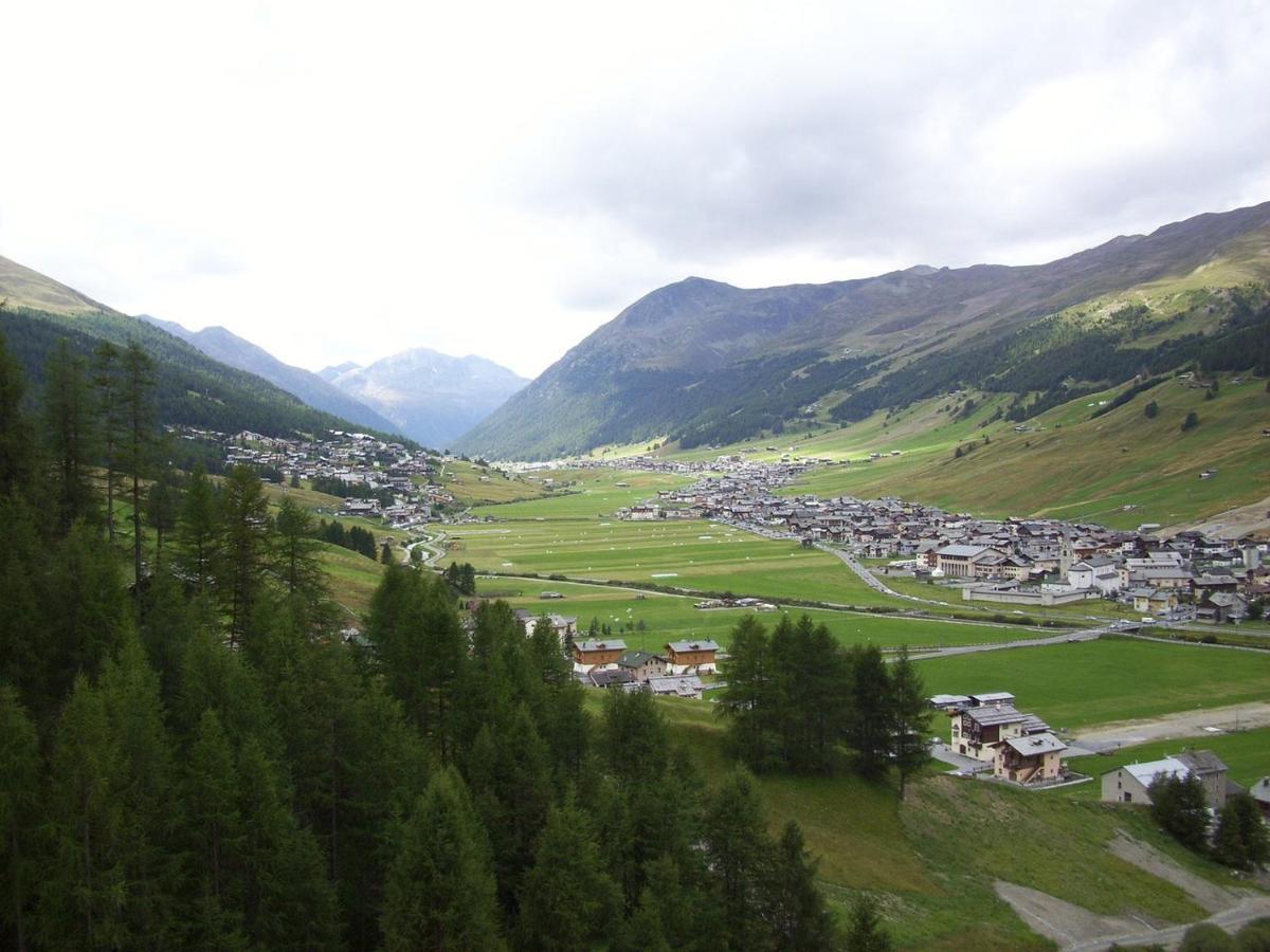 Lorella Mirtillo * Livigno